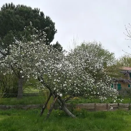 Cocon Cosy Et Deconnecte 30min Puy Du Fou - 2 Et 1 Canape Lit * Bazoges-en-Pareds