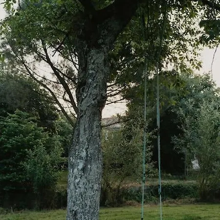 Cocon Cosy Et Deconnecte 30min Puy Du Fou - 2 Et 1 Canape Lit *